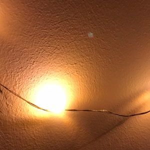 Meet your Posher, Maddie